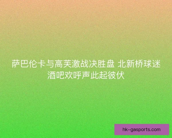 萨巴伦卡与高芙激战决胜盘 北新桥球迷酒吧欢呼声此起彼伏